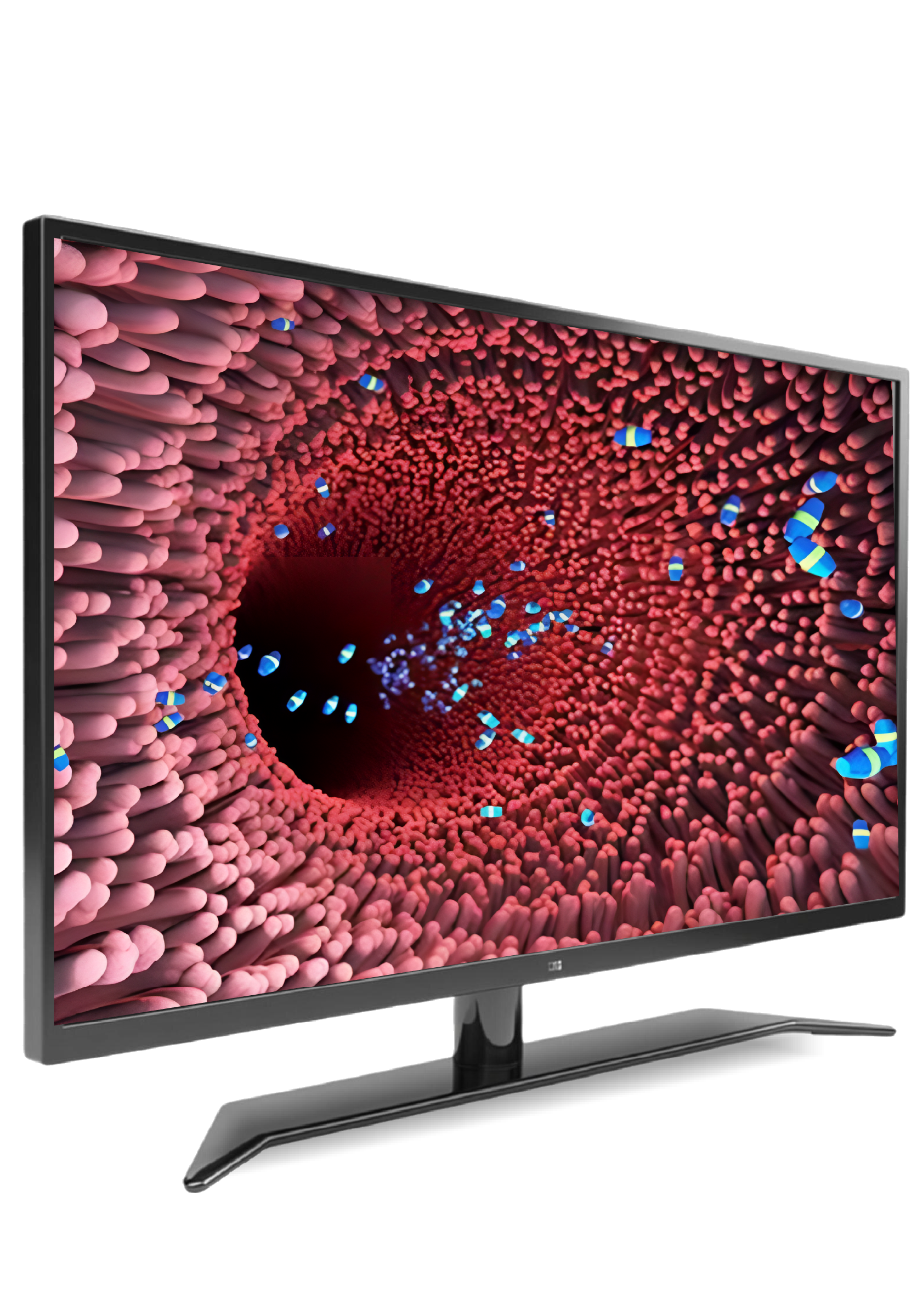kanopi-tv